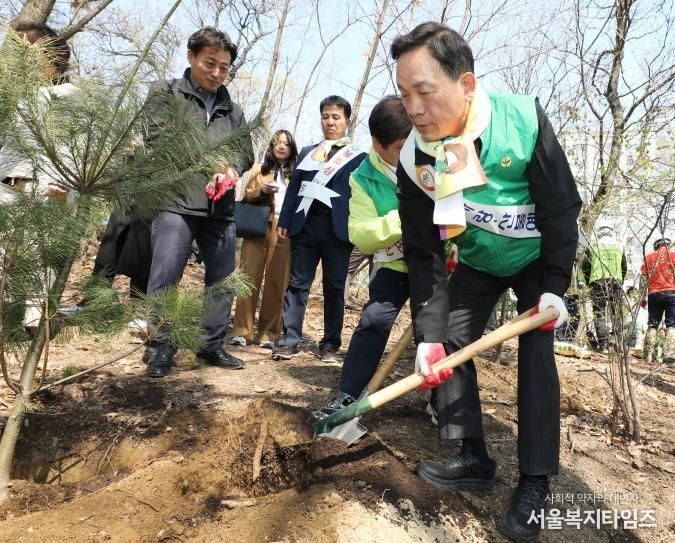 강남구, 식목일 맞아 매봉산에 8천 그루 나무 심어
