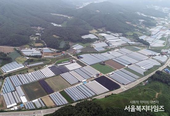 횡성군, 스마트 원예단지