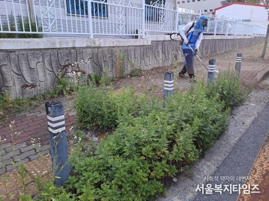 광산구가 추석을 맞아 주요 도로 예초 작업을 진행하고 있다.