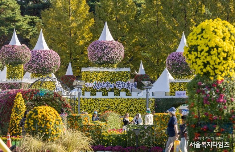 전국을 물들인 익산 천만송이 국화축제 대흥행