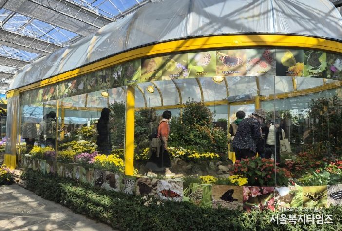 국향 속 나비의 날갯짓…함평군, 생태축제의 새 장 열다