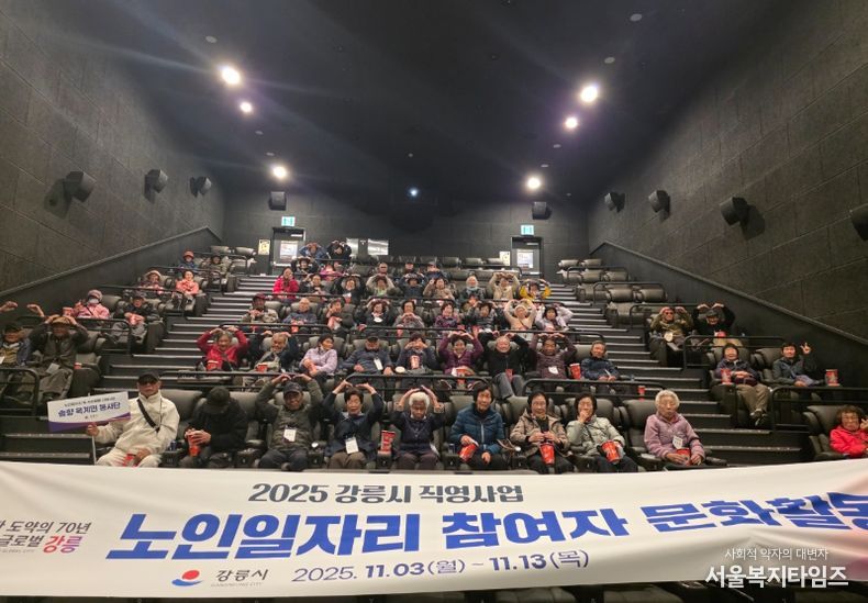 노인일자리 및 사회활동지원사업 참여 어르신 대상 문화활동