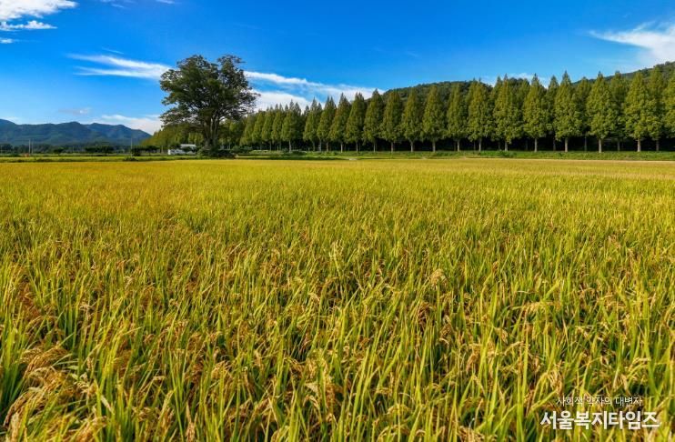 순창군, 농산물 우수관리(GAP) 인증 확대…안전 농산물 공급 기반 강화