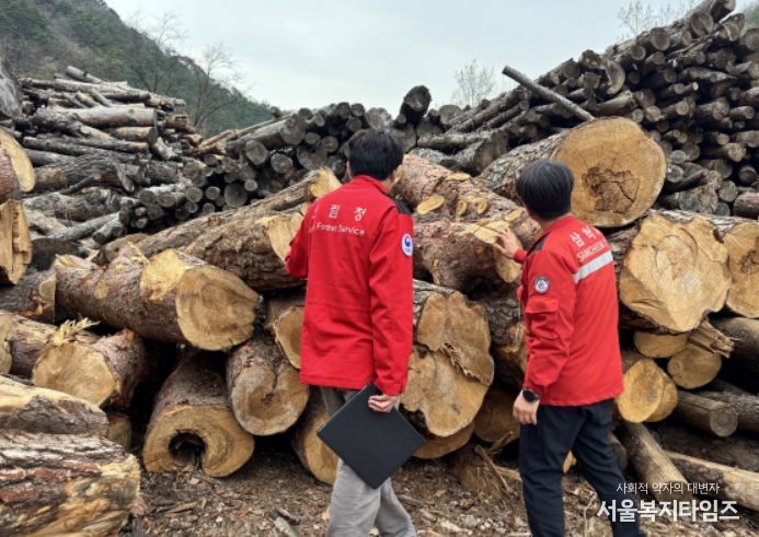 소나무류 이동 특별단속