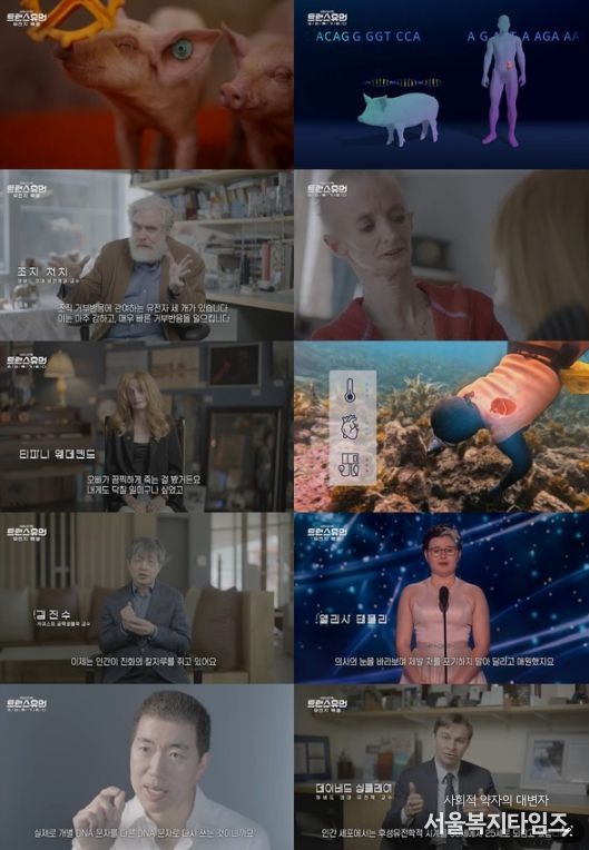 (사진 제공 = KBS 1TV ‘트랜스휴먼’)