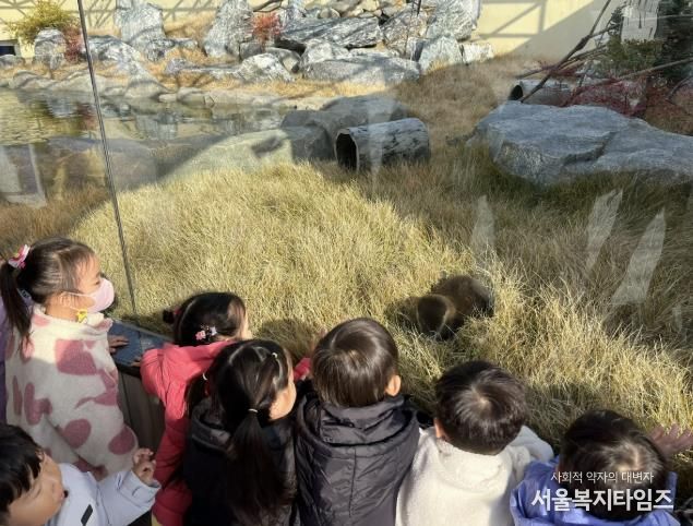 충주아쿠아리움, 수달 공개 시작!