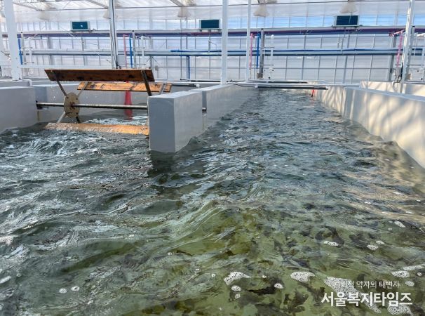 육상 김 양식(수로형 트랙 수조)