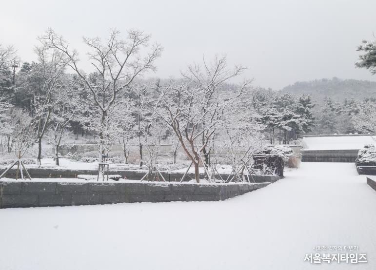수목원의 설경