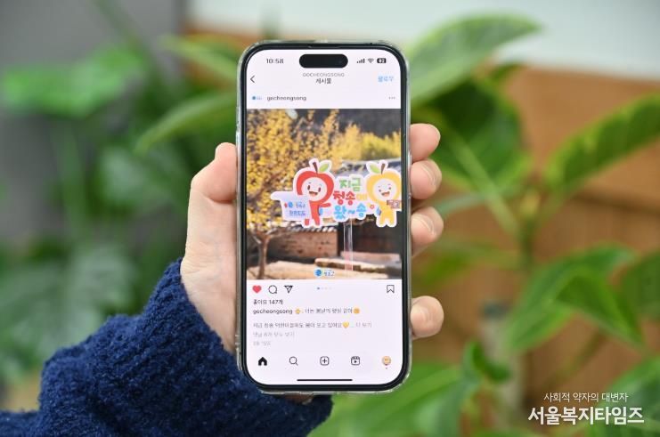 2026 청송군 SNS 홍보단 ‘온통청송’ 본격 활동 돌입