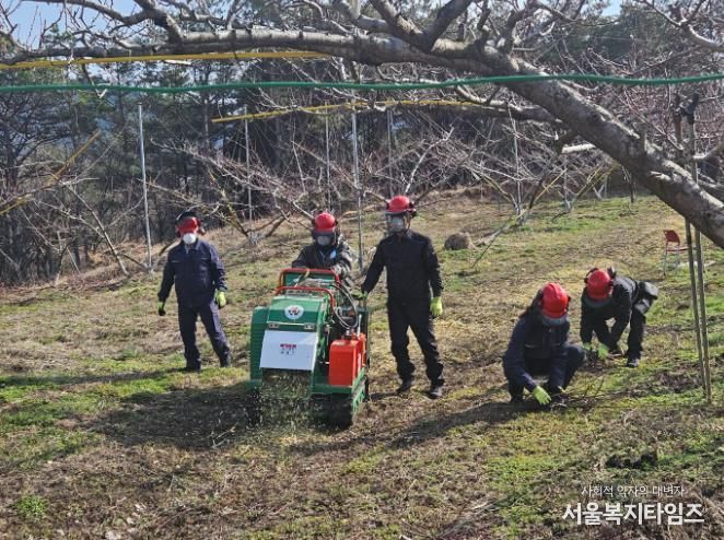 보성군, 2026년‘영농부산물 파쇄지원’ 신청 접수_파쇄지원단이 벌교읍 배 과원에서 잔가지 파쇄작업을 하고 있다