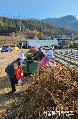 무주군, 영농부산물 파쇄지원 서비스 눈길, 미세먼지 저감 및 산불 예방 효과 기대