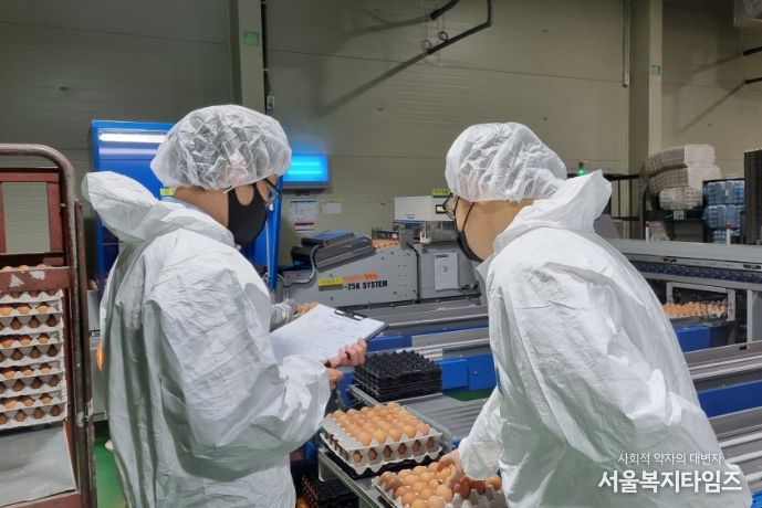 식용란 선별 포장업 점검