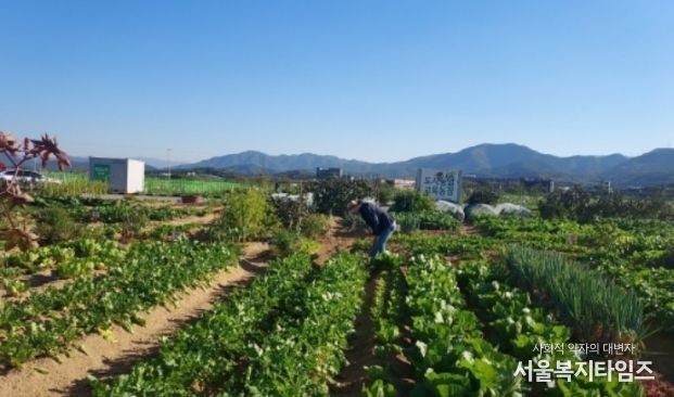 군위군, 텃밭에서 배우는 농업… 주말농장·주말농부학교 함께 연다.