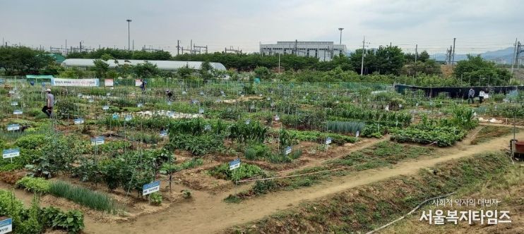 수성구 공영도시농업농장 전경