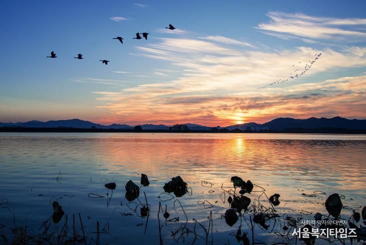 주남저수지 전경